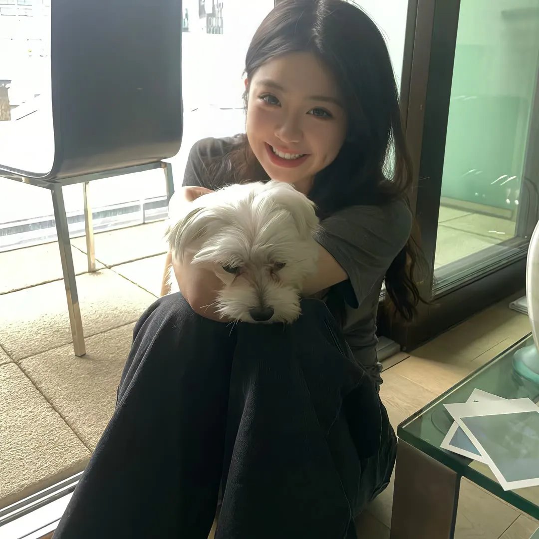 拳赌双至尊国语